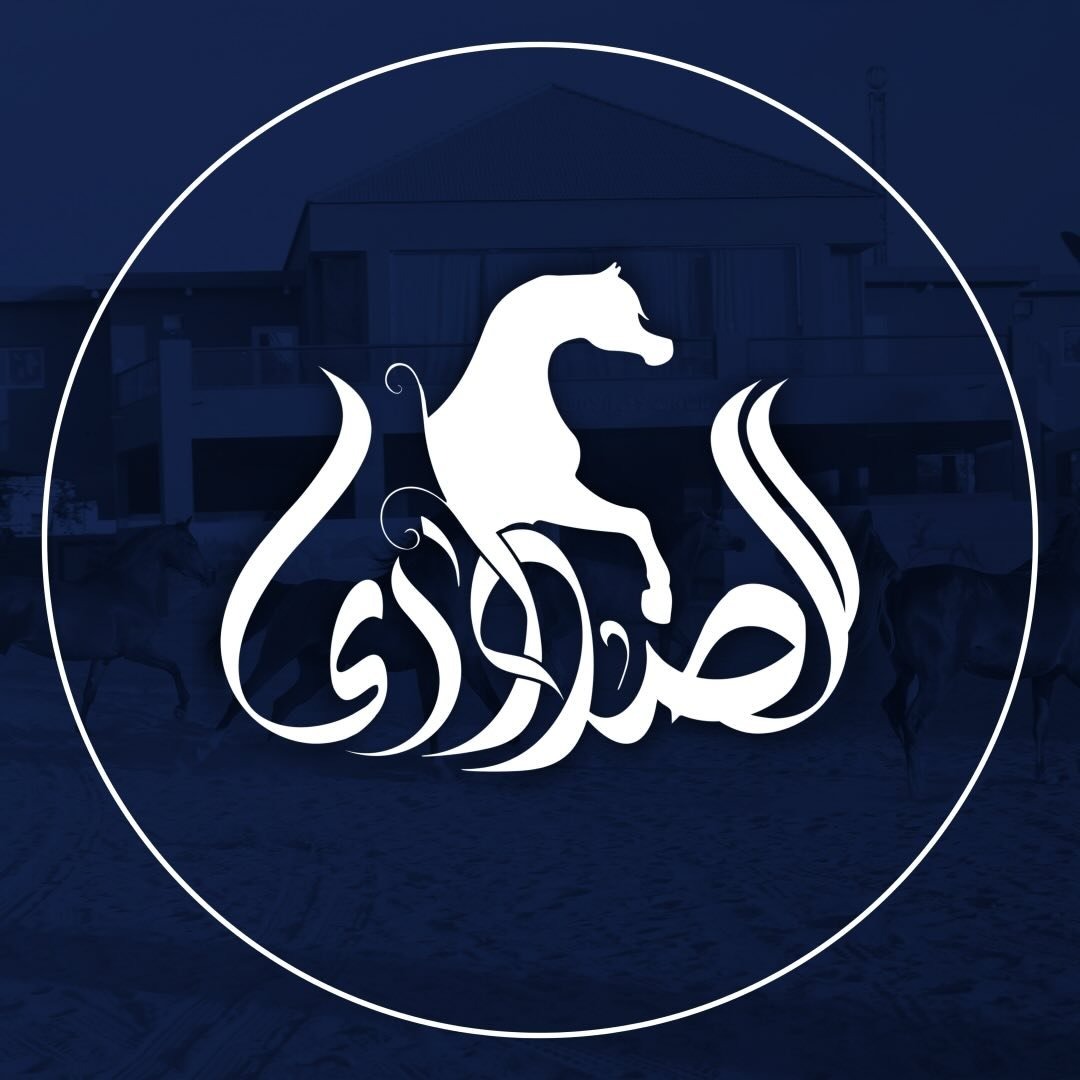 اكاديمية الصواري للخيل العربية الاصيله