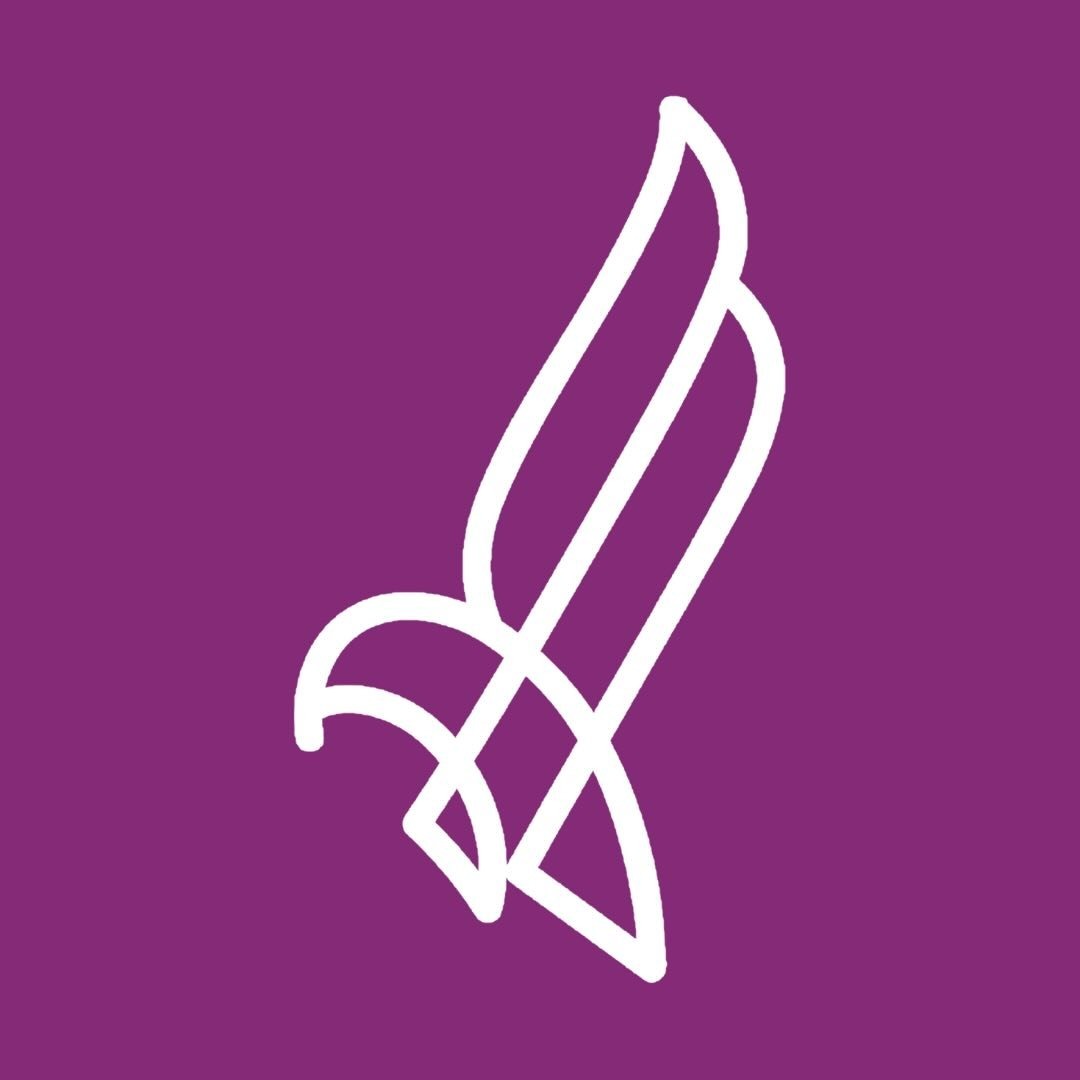 اكاديمية الصقر الرياضية