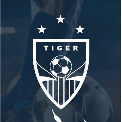 أكاديمية تايقر - حفر الباطن