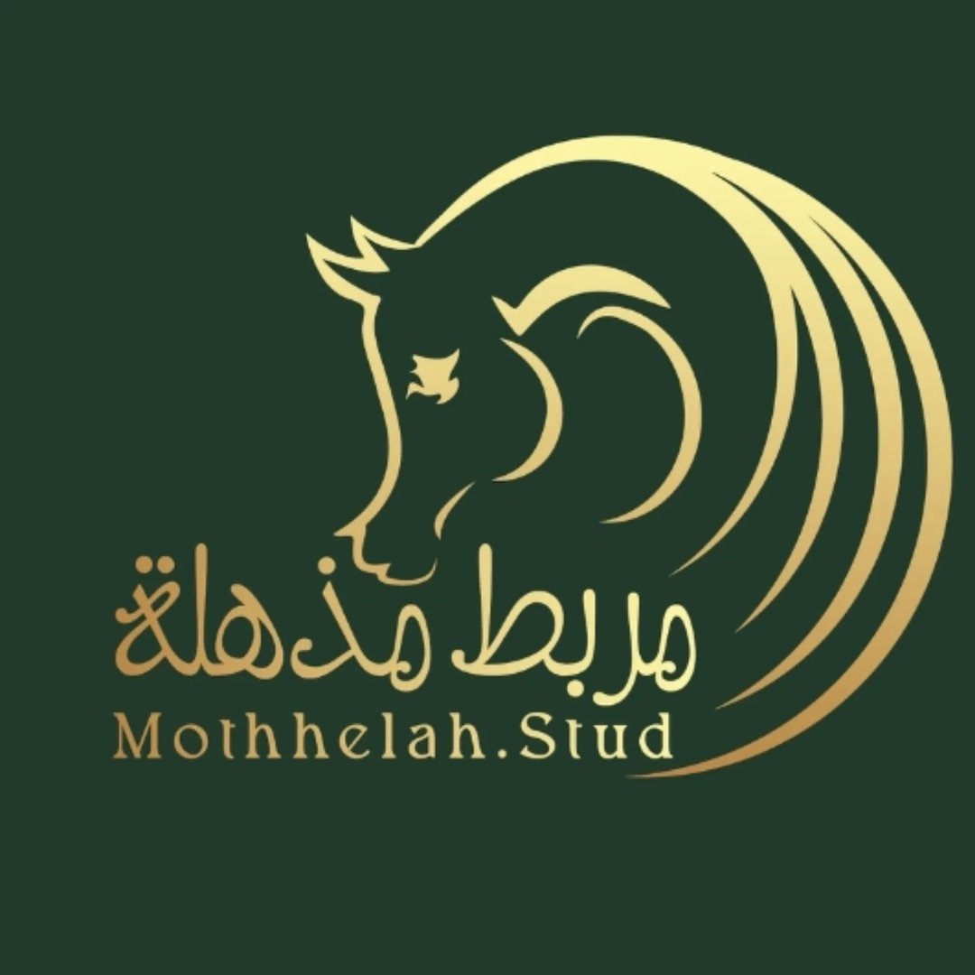 اكاديمية مذهلة للفروسية 